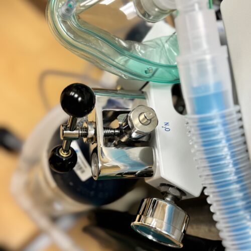 Nitrous Oxide Therapy
